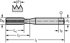 Picture of HSS-E PM machine taps • Paradur Eco CI • C = 2-3xTP (semi-bottom chamfer) • ≤3xD • M/6HX • JIS • neutral (straight) flute 0° • Suitable for blind hole • S