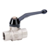 Immagine di Ball Valve CP BAL 08