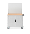 Picture of Carrello Clever Large con piano in legno, piano in acciaio aggiuntivo pannelli e parete forati, coppia porte CLEVER1023