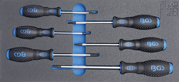 Picture of 1/3 MODULO PER CARRELLO: 6 PEZZI, CACCIAVITI TORX TX15-TX40