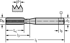 Picture of HSS-E machine taps • Paradur H • C = 2-3xTP (semi-bottom chamfer) • ≤1,5xD • M/6H • DIN 371 • neutral (straight) flute 0° • Suitable for blind hole • S